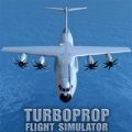 Turboprop Flight Simulator 1.34.3