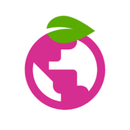 Berry Browser 3.80.66