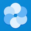 Bluecoins 13.0.596