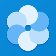 Bluecoins 13.0.596