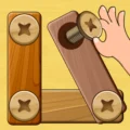 Wood Nuts & Bolts Puzzle 13.4