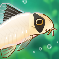 Pondlife — Fish, Frogs & More! 1.23.16