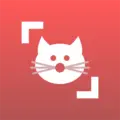 Cat Scanner: Породы кошек 24.5.9