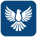 ByeByeDPI 1.7.8