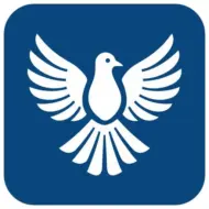 ByeByeDPI 1.7.8