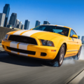 Lane Rider: Highway Runner 1.0.2